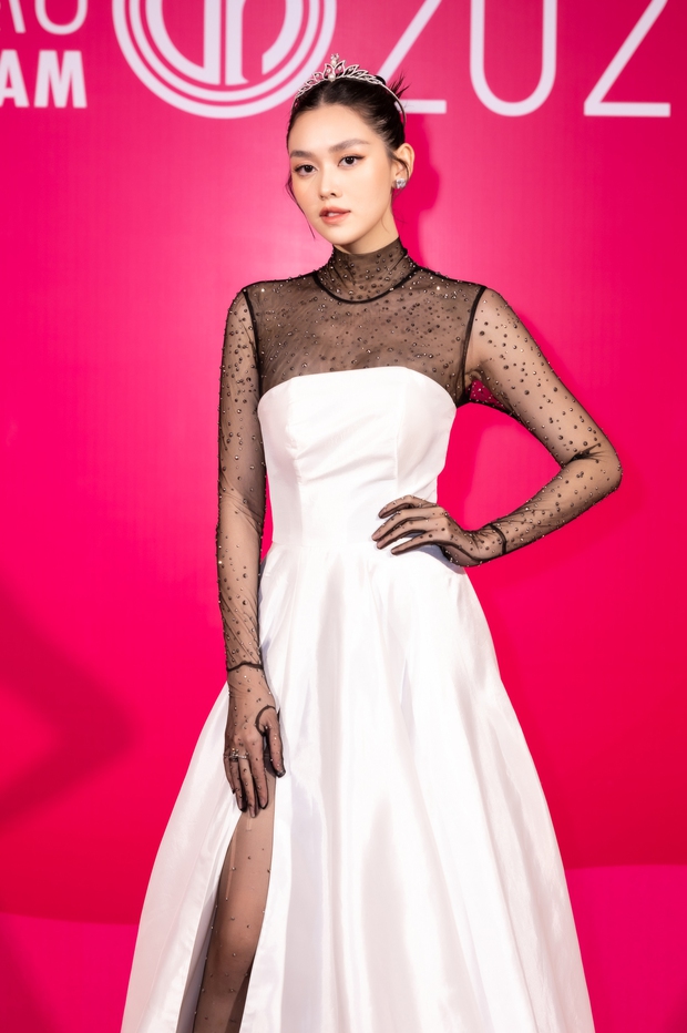 Váy dạ hội dài tay thiết kế đen trắng cổ điển - D626