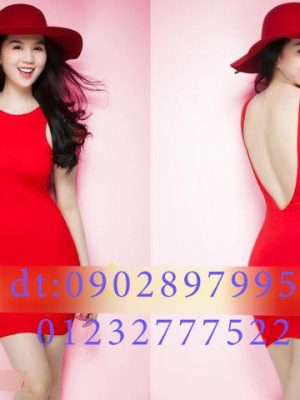 Đầm body Ngọc Trinh hở lưng khoét chữ U - DN129