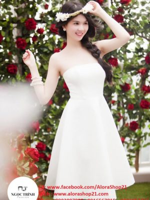 Đầm xòe cúp ngực thiết kế đơn giản sang trọng - DN308